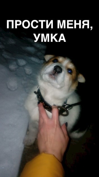 Обложка книги Прости меня, Умка