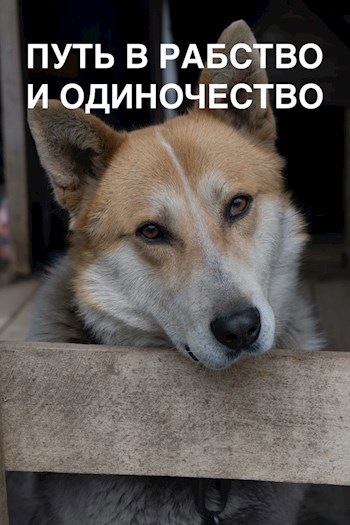 Обложка книги Путь в рабство и одиночество (пишется)