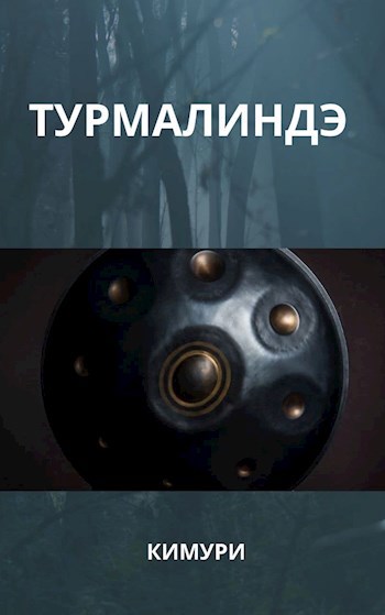 Обложка книги Турмалиндэ
