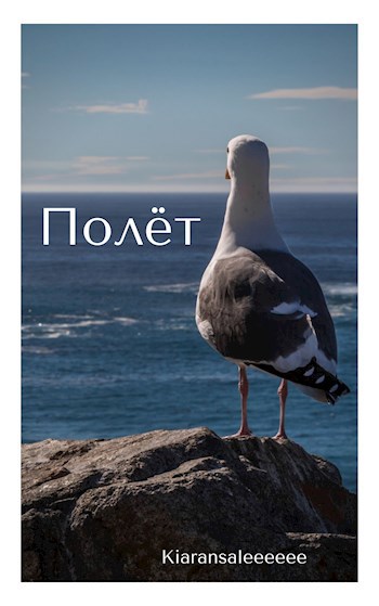 Обложка книги Полёт