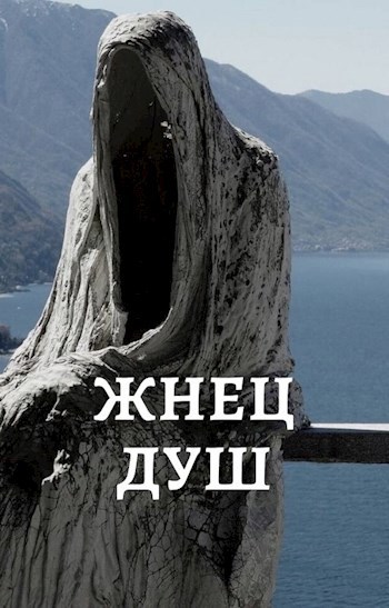 Обложка книги ЖНЕЦ ДУШ