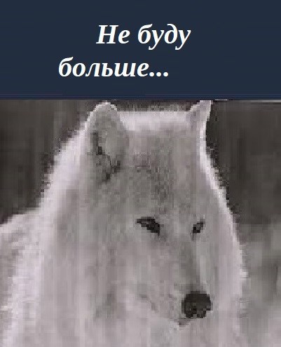 Обложка книги Не буду больше