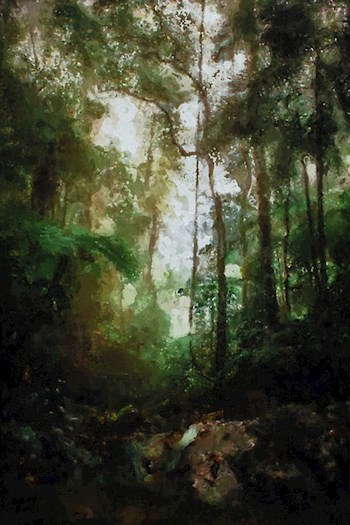 Обложка книги Лес