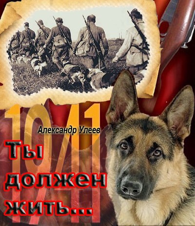 Обложка книги Ты должен жить...