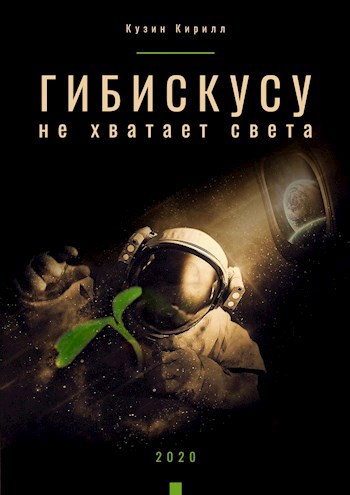 Обложка книги Гибискусу не хватает света