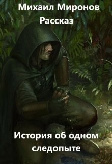 Обложка книги История об одном следопыте