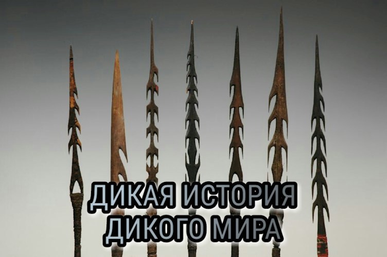Обложка книги Дикая история дикого мира.
