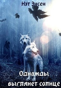 Обложка книги Однажды выглянет солнце