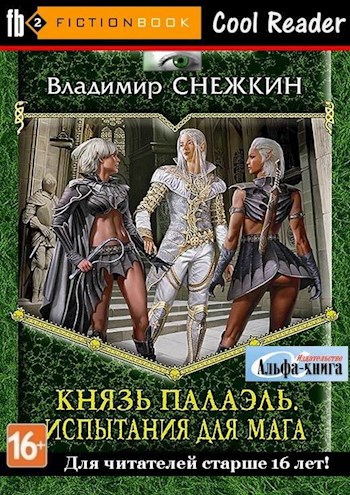 Обложка книги 2. Князь Палаэль. Испытания для мага