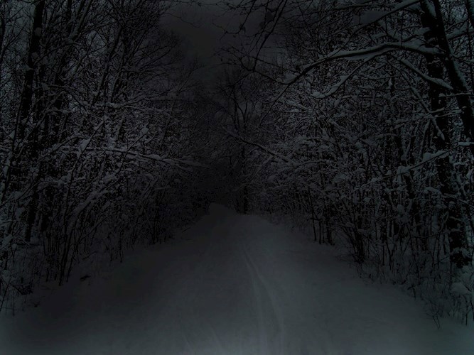 Обложка книги Снегопад