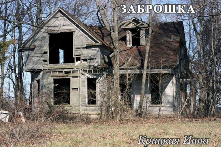 Обложка книги Заброшка
