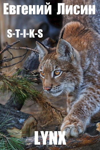 Обложка книги LYNX