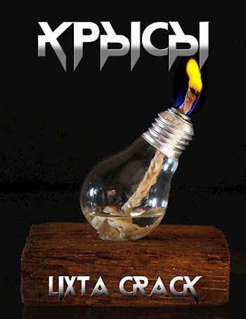 Обложка книги Крысы