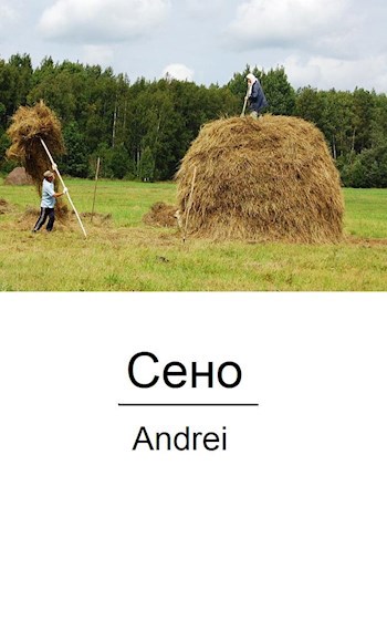 Обложка книги Сено