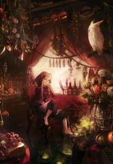 Обложка книги Магазин "Штучки Дрючки"