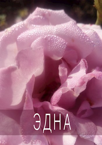 Обложка книги Эдна