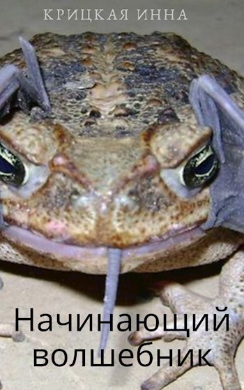 Обложка книги Начинающий волшебник