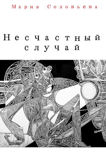 Обложка книги Несчастный случай