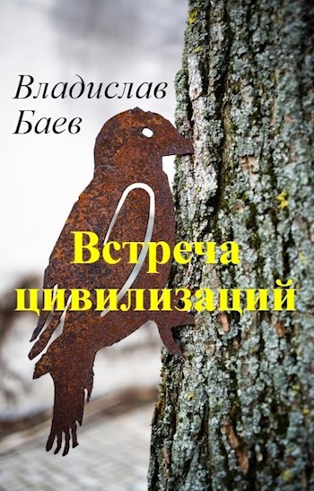 Обложка книги Встреча цивилизаций