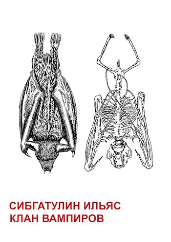 Обложка книги Клан вампиров