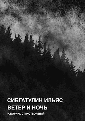 Обложка книги Ветер и ночь