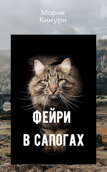 Обложка книги Фейри в сапогах