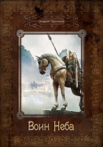Обложка книги Воин Неба