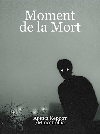 Обложка книги Moment de la Mort