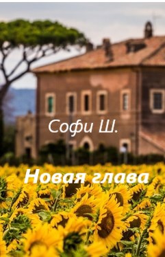 Обложка книги Новая глава