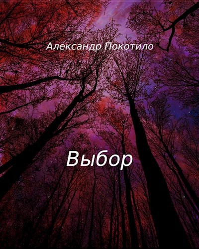 Обложка книги Выбор