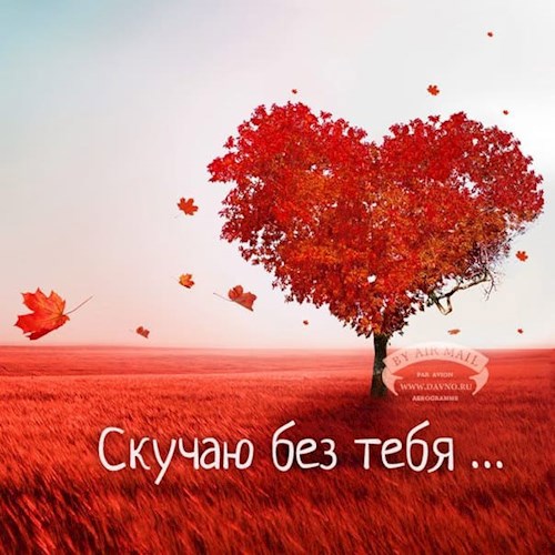 Обложка книги Моё сердце