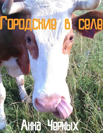 Обложка книги Городские в селе