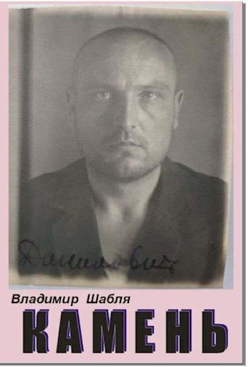 Обложка книги Камень. Биографический роман.