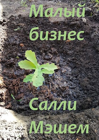Обложка книги Малый бизнес Салли Мэшем