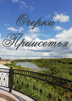 Обложка книги Очерки Приисетья