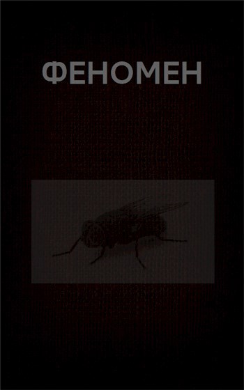 Обложка книги Феномен