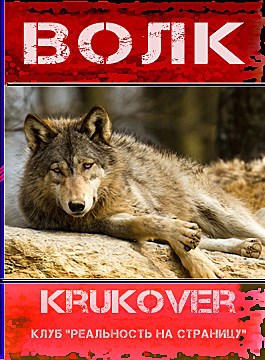 Обложка книги Волк