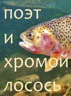 Обложка книги Поэт и хромой лосось