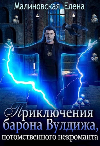 Обложка книги Приключения барона Вулдижа, потомственного некроманта. Трилогия