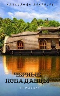 Обложка книги Черные попаданцы