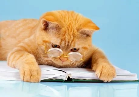 Обложка книги Такое бывает...