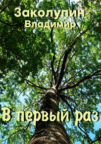 Обложка книги В первый раз