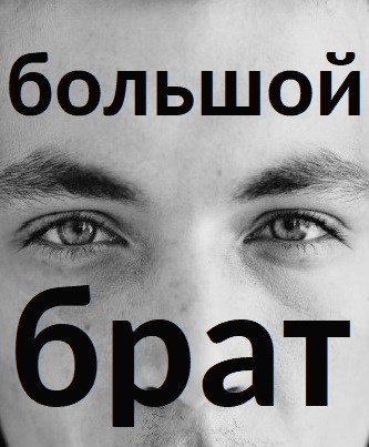 Обложка книги Большой брат