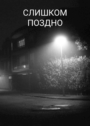 Обложка книги Слишком поздно