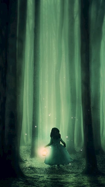Обложка книги Древние. Дети леса