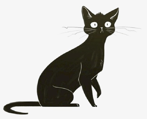 Обложка книги А моя вот кошка
