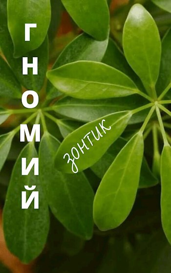 Обложка книги Гномий зонтик