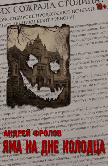 Обложка книги Яма на дне колодца
