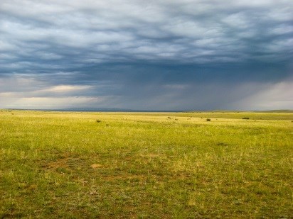 Обложка книги Эрлик