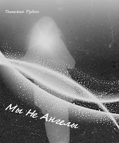 Обложка книги Мы не ангелы